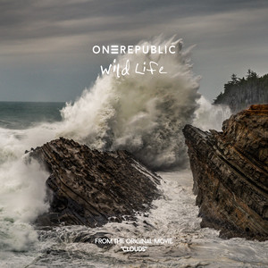 Wild Life - OneRepublic | Song Album Cover Artwork