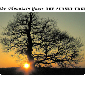 This Year - The Mountain Goats | Song Album Cover Artwork