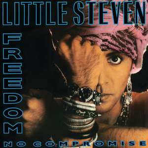 Can't You Feel The Fire - Little Steven | Song Album Cover Artwork