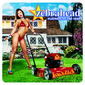 Now or Never - zebrahead