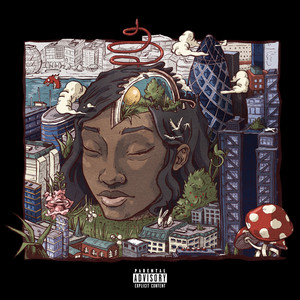 Picture Perfect - Little Simz | Song Album Cover Artwork