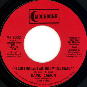 I Can't Believe I Ate That Whole Thang - David Camon | Song Album Cover Artwork