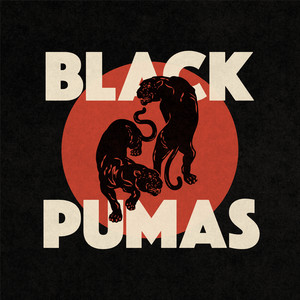 Colors Black Pumas | Album Cover