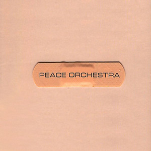 Double Drums - Peace Orchestra | Song Album Cover Artwork