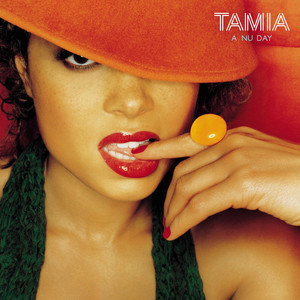 Stranger In My House - Tamia | Song Album Cover Artwork