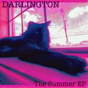 House Pet - Darlington | Song Album Cover Artwork