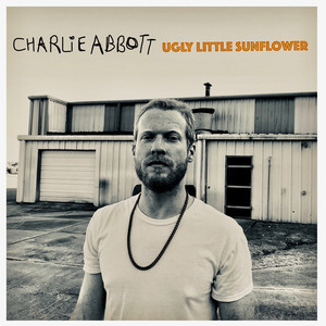 Sweetly Snarling - Charlie Abbott | Song Album Cover Artwork