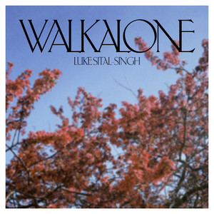 Walk Alone Luke Sital-Singh | Album Cover