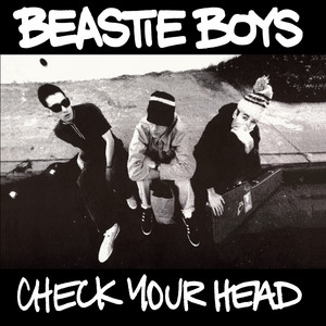So What'Cha Want - Remastered 2009 - Beastie Boys | Song Album Cover Artwork