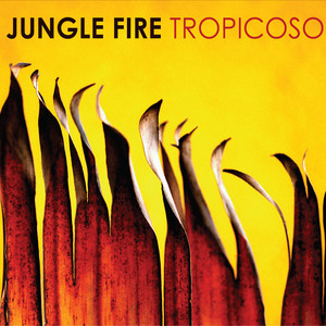 Firewalker - Jungle Fire | Song Album Cover Artwork