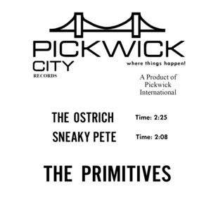 The Ostrich - The Primitives | Song Album Cover Artwork