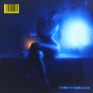 DYING 4 YOUR LOVE - Snoh Aalegra | Song Album Cover Artwork