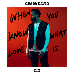 When You Know What Love Is - Craig David | Song Album Cover Artwork