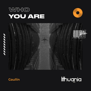 Who You Are - Gaullin | Song Album Cover Artwork