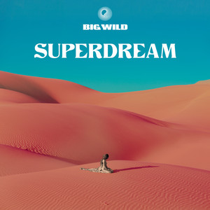 City of Sound - Big Wild | Song Album Cover Artwork