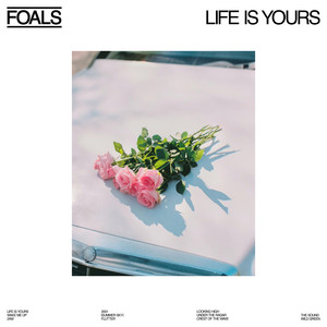 2001 - Foals | Song Album Cover Artwork