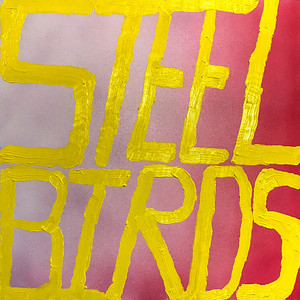 Steel Birds - Slow Pulp | Song Album Cover Artwork