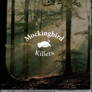 Gonna Hit the World with a Double Barrel - MOCKINGBIRD KILLERS | Song Album Cover Artwork