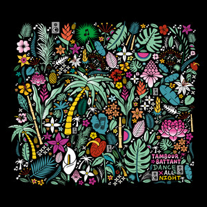 Spring Bounce - Tambour Battant | Song Album Cover Artwork