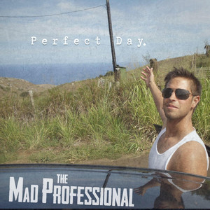 Perfect Day - The Mad Professional