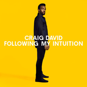 When the Bassline Drops - Craig David | Song Album Cover Artwork