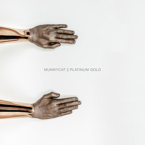 Platinum Gold - MUNNYCAT | Song Album Cover Artwork