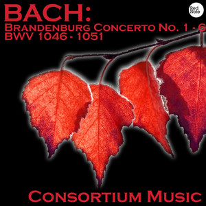Brandenburg Concerto No. 4 in G Major, BWV 1049: III. Presto - Consortium Musicum | Song Album Cover Artwork