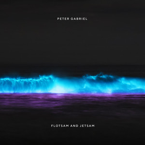 Animal Nation - Peter Gabriel | Song Album Cover Artwork
