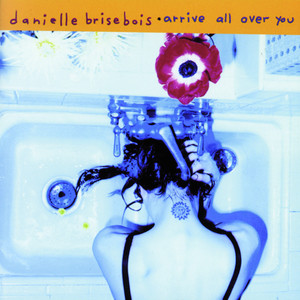 What If God Fell From The Sky - Danielle Brisebois | Song Album Cover Artwork