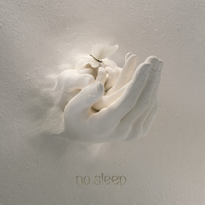 No Sleep (feat. Sam Tompkins) - Frankie Stew and Harvey Gunn | Song Album Cover Artwork