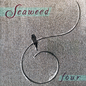 Kid Candy - Seaweed | Song Album Cover Artwork