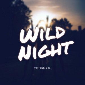 Wild Night V12 | Album Cover
