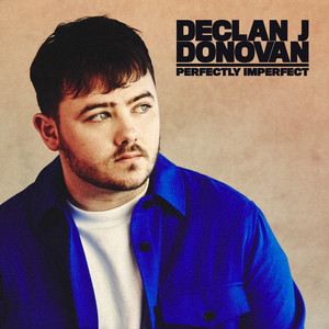 Perfectly Imperfect - Declan J Donovan | Song Album Cover Artwork