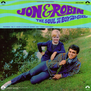 Do It Again a Little Bit Slower - Jon & Robin | Song Album Cover Artwork