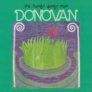 Hurdy Gurdy Man Donovan | Album Cover