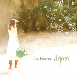 Catch My Fall - Liz Foster | Song Album Cover Artwork