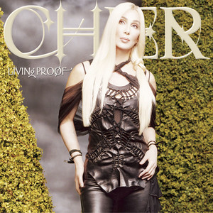 Song for the Lonely - Cher | Song Album Cover Artwork