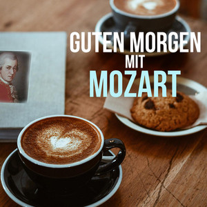 Violin Concerto No. 5 in A Major, K. 219: II. Adagio - Wolfgang Amadeus Mozart