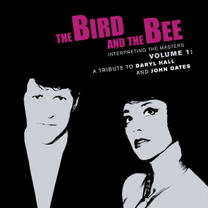 I Can't Go For That - the bird and the bee | Song Album Cover Artwork