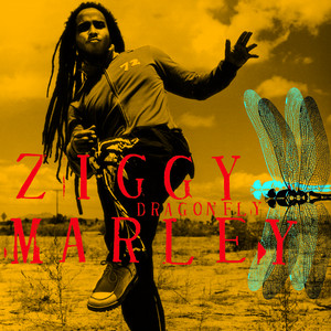 Rainbow in the Sky - Ziggy Marley | Song Album Cover Artwork