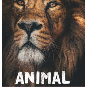 Animal - J-MAN | Song Album Cover Artwork