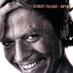 I Didn't Mean To Turn You On Robert Palmer | Album Cover