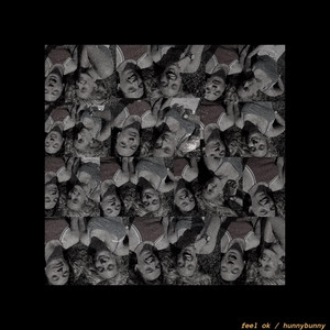 Feel Ok hunnybunny | Album Cover