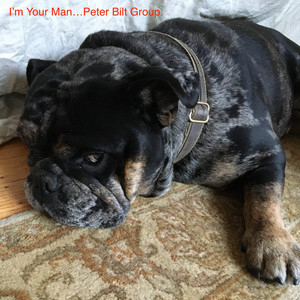 I'm Your Man Peter Bilt Group | Album Cover