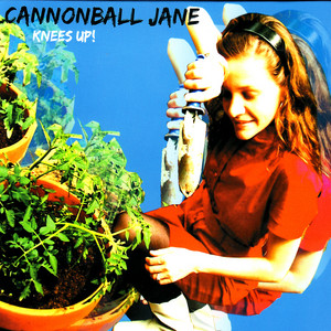 Take It to Fantastic - Cannonball Jane | Song Album Cover Artwork