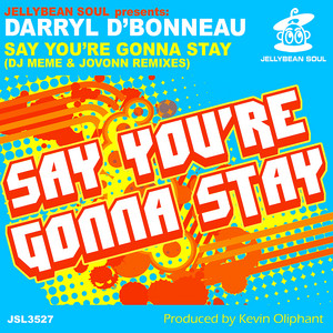 Say You're Gonna Stay - Darryl D'Bonneau