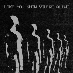 Like You Know You're Alive - BCBC
