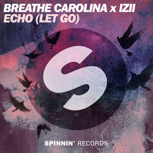 ECHO (LET GO) - Breathe Carolina | Song Album Cover Artwork