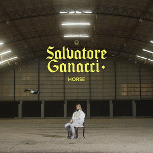 Horse - Salvatore Ganacci | Song Album Cover Artwork