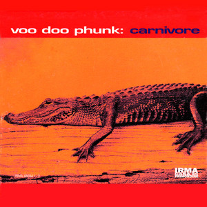 Point Of View Voo Doo Phunk | Album Cover